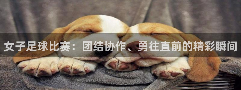 女子足球比赛：团结协作、勇往直前的精彩瞬间