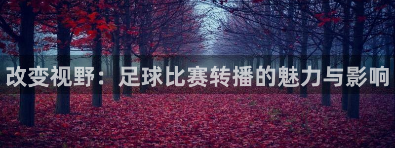 改变视野：足球比赛转播的魅力与影响