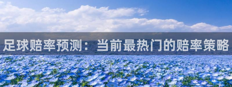  足球赔率预测：当前最热门的赔率策略