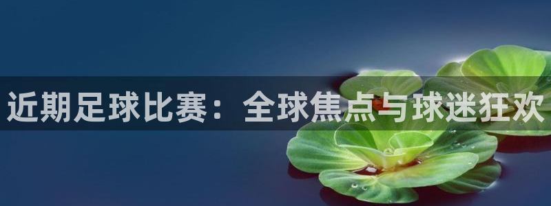 近期足球比赛：全球焦点与球迷狂欢