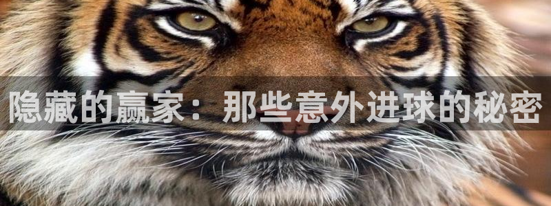 隐藏的赢家：那些意外进球的秘密