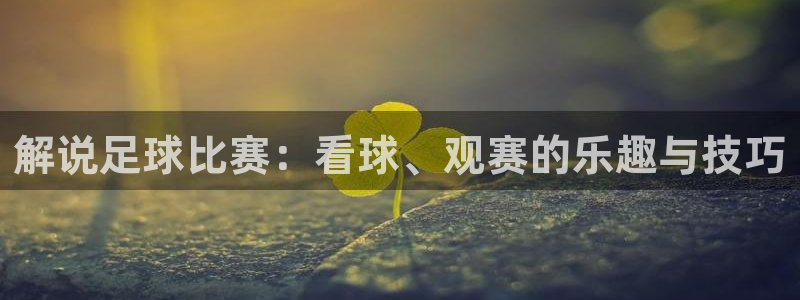  解说足球比赛：看球、观赛的乐趣与技巧