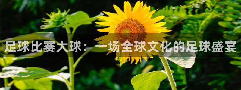  足球比赛大球：一场全球文化的足球盛宴