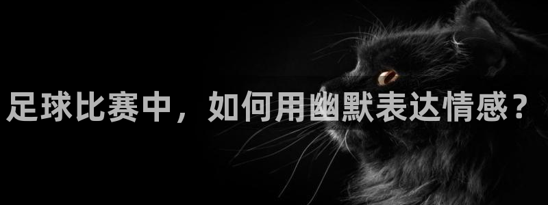 足球比赛中，如何用幽默表达情感？