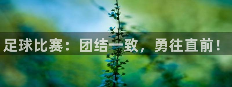 足球比赛：团结一致，勇往直前！