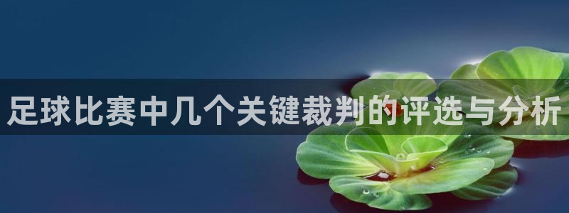 足球比赛中几个关键裁判的评选与分析