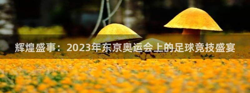  辉煌盛事：2023年东京奥运会上的足球竞技盛宴