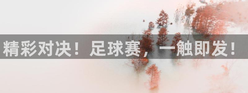 精彩对决！足球赛，一触即发！