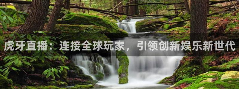 新球体育完整版