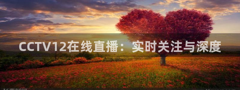 新球足球：CCTV12在线直播：实时关注与深度