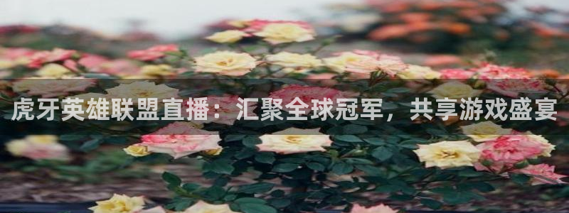 新球体育比分网：虎牙英雄联盟直播：汇聚全球冠军，共享游戏盛宴