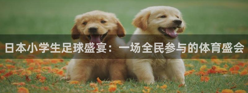 日本小学生足球盛宴：一场全民参与的体育盛会