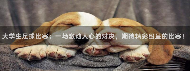大学生足球比赛：一场激动人心的对决，