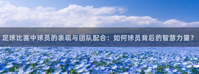 足球比赛中球员的表现与团队配合：如何