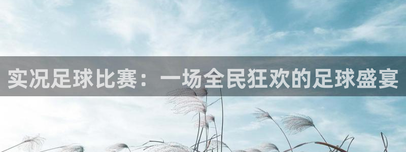 实况足球比赛：一场全民狂欢的足球盛宴