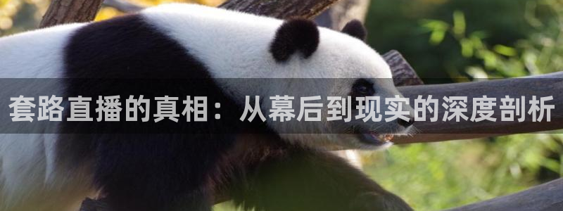 新球体育即时分：套路直播的真相：从幕后到现实的深度剖析