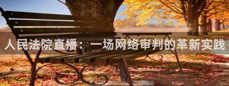 新球网直播