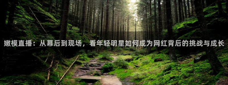 新球赛直播