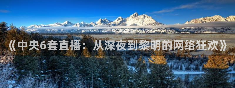 新球网直播：《中央6套直播：从深夜到黎明的网络狂欢》