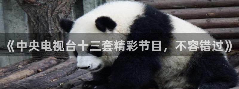 新球体育网球比分：《中央电视台十三套精彩节目，不容错过》