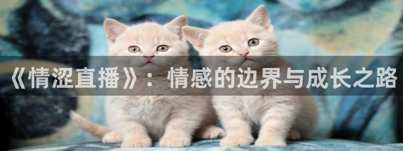 新球体育足球比分