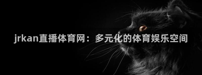 新球体育直播