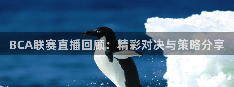 新球足球：BCA联赛直播回顾：精彩对决与策略分享