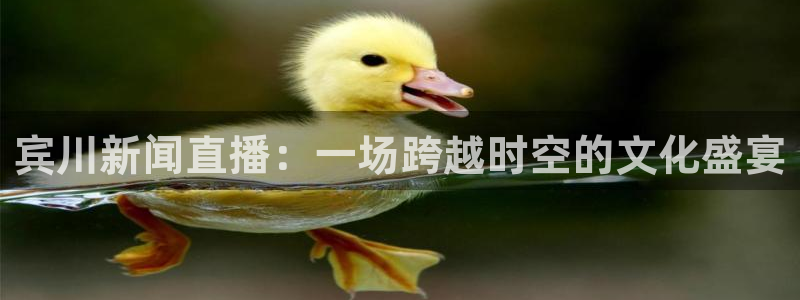新球体育网球比分：宾川新闻直播：一场跨越时空的文化盛宴