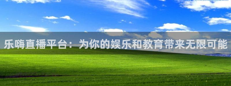 新球足球