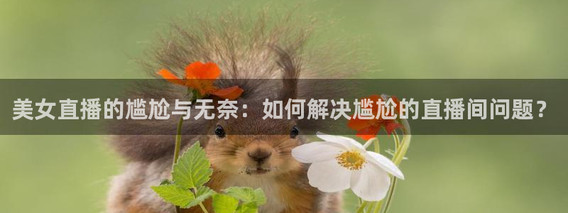 新球体育网球比分