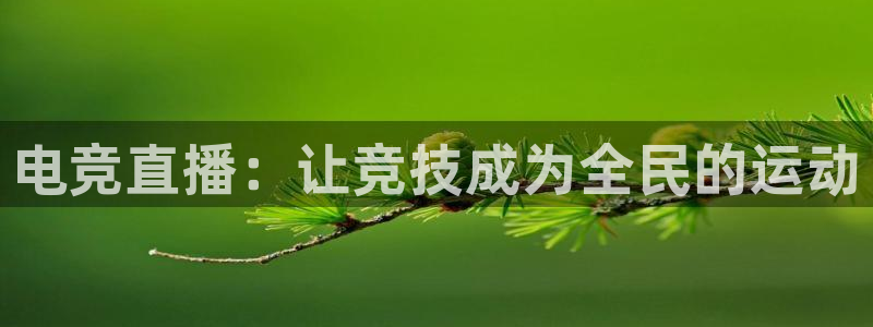 新球体育足球比分：电竞直播：让竞技成为全民的运动