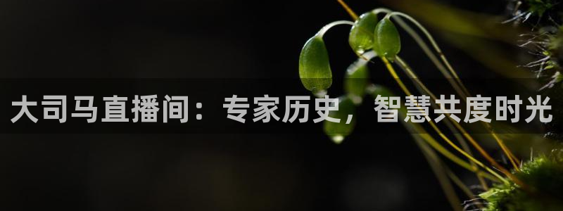 新球体育足球比分：大司马直播间：专家历史，智慧共度时光